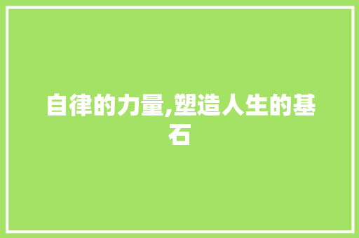 自律的力量,塑造人生的基石