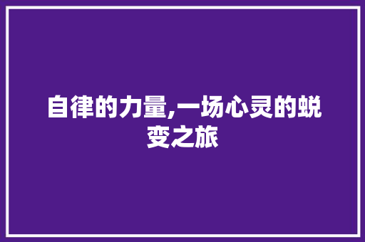 自律的力量,一场心灵的蜕变之旅