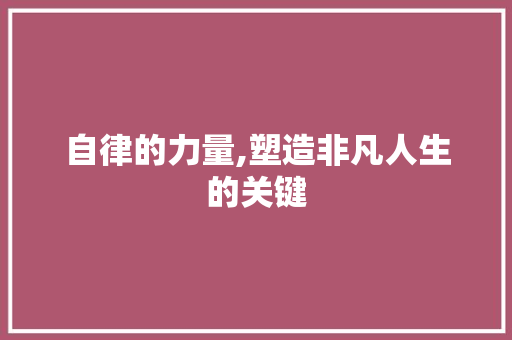 自律的力量,塑造非凡人生的关键