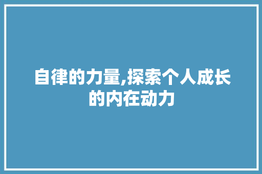 自律的力量,探索个人成长的内在动力