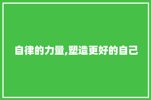 自律的力量,塑造更好的自己