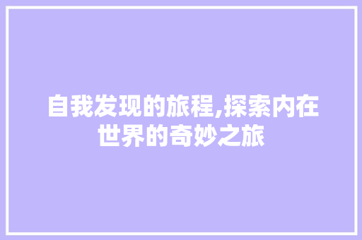 自我发现的旅程,探索内在世界的奇妙之旅