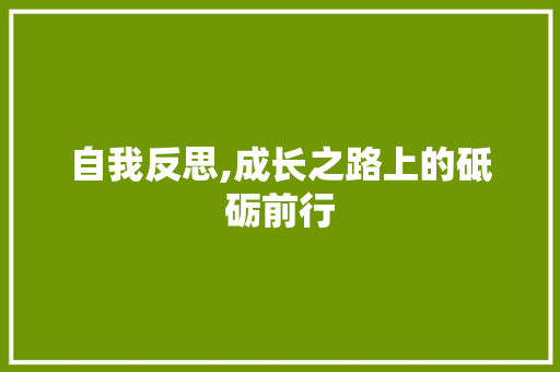 自我反思,成长之路上的砥砺前行