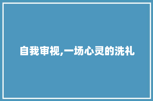 自我审视,一场心灵的洗礼