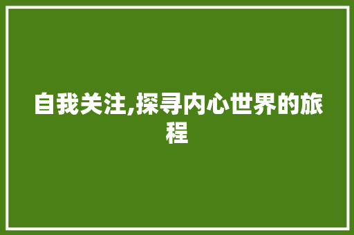 自我关注,探寻内心世界的旅程