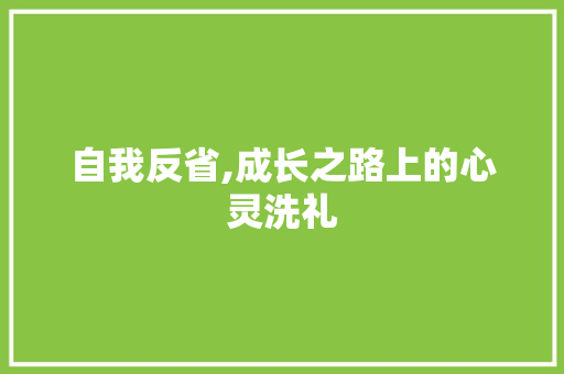 自我反省,成长之路上的心灵洗礼