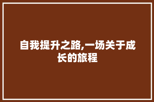 自我提升之路,一场关于成长的旅程