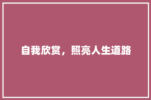 自我欣赏，照亮人生道路