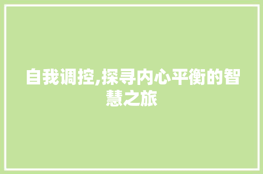 自我调控,探寻内心平衡的智慧之旅