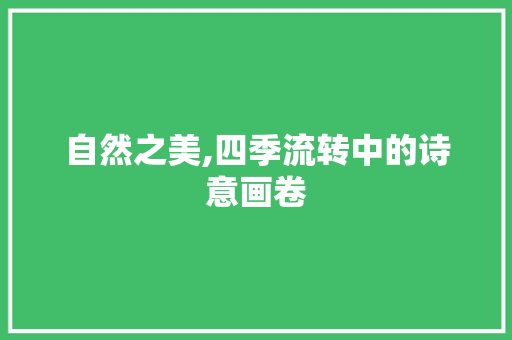 自然之美,四季流转中的诗意画卷 论文范文