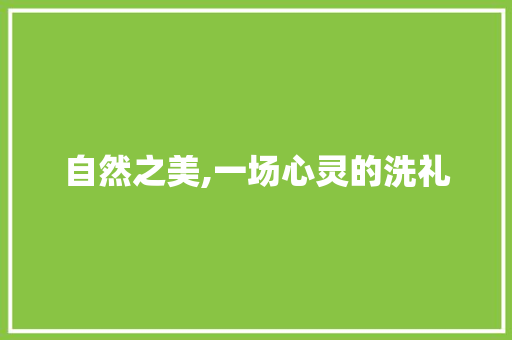 自然之美,一场心灵的洗礼