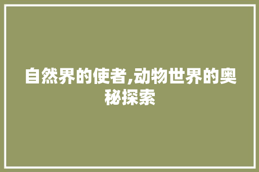 自然界的使者,动物世界的奥秘探索