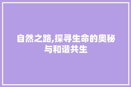 自然之路,探寻生命的奥秘与和谐共生