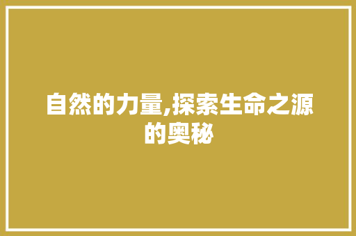 自然的力量,探索生命之源的奥秘