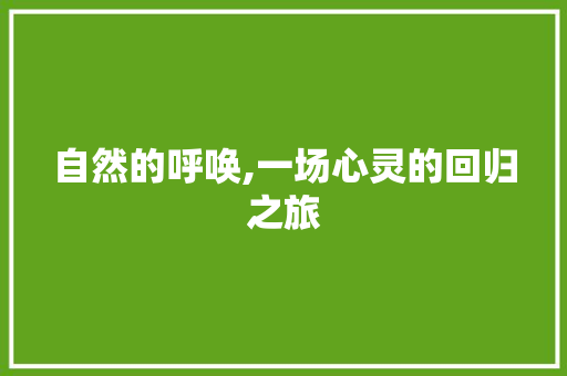 自然的呼唤,一场心灵的回归之旅