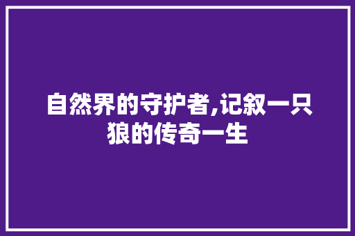 自然界的守护者,记叙一只狼的传奇一生