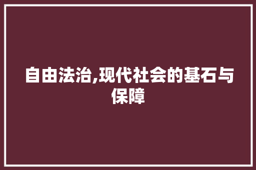 自由法治,现代社会的基石与保障