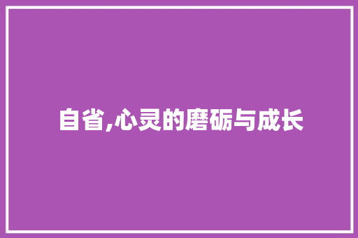 自省,心灵的磨砺与成长