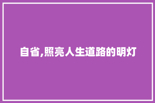 自省,照亮人生道路的明灯