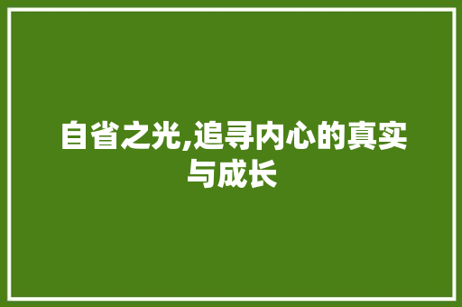 自省之光,追寻内心的真实与成长