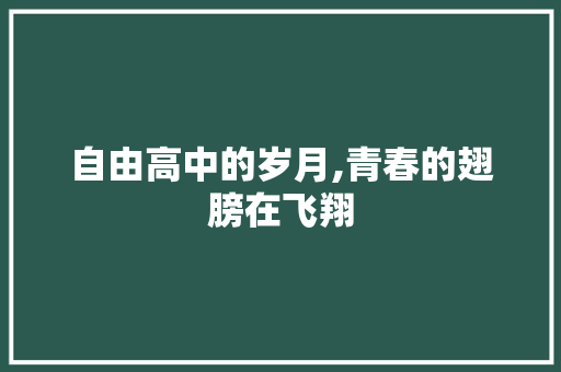 自由高中的岁月,青春的翅膀在飞翔