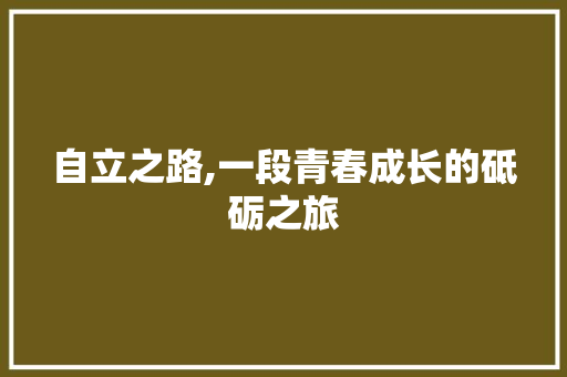 自立之路,一段青春成长的砥砺之旅