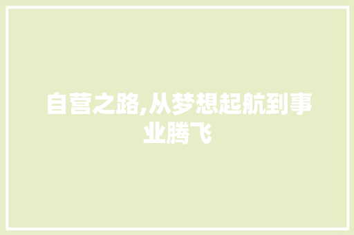 自营之路,从梦想起航到事业腾飞