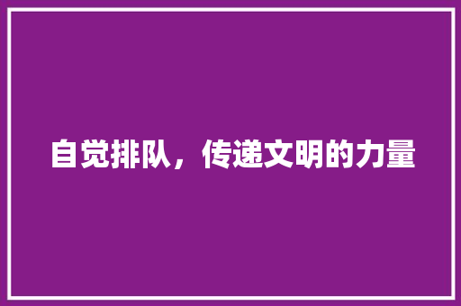 自觉排队，传递文明的力量