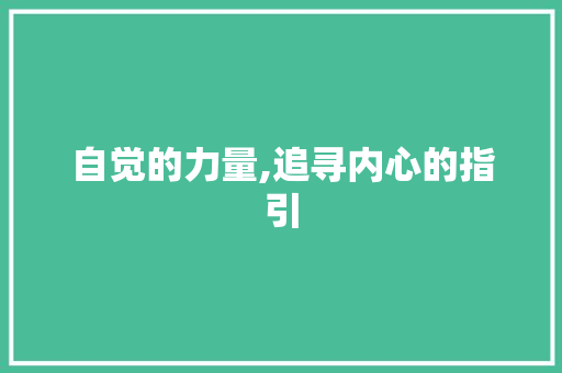 自觉的力量,追寻内心的指引