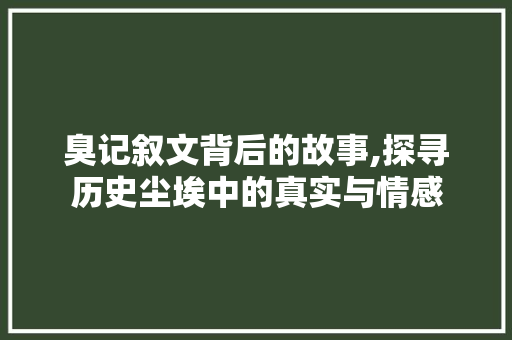 臭记叙文背后的故事,探寻历史尘埃中的真实与情感