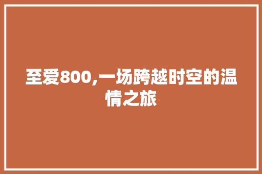 至爱800,一场跨越时空的温情之旅