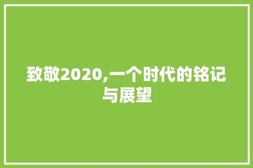 致敬2020,一个时代的铭记与展望