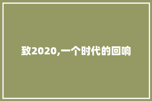 致2020,一个时代的回响