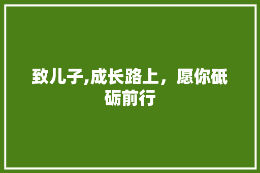 致儿子,成长路上，愿你砥砺前行