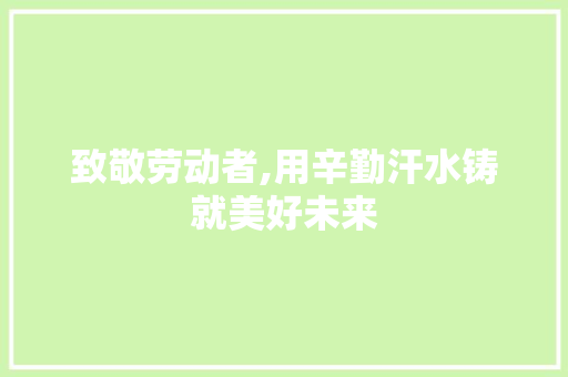 致敬劳动者,用辛勤汗水铸就美好未来