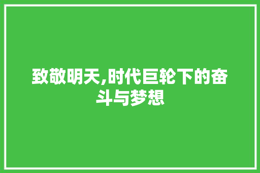 致敬明天,时代巨轮下的奋斗与梦想