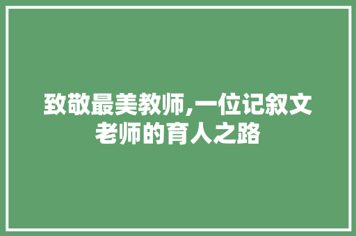 致敬最美教师,一位记叙文老师的育人之路