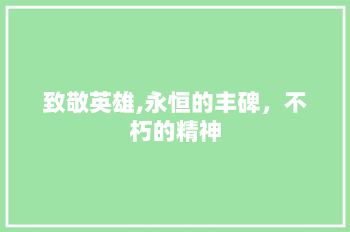 致敬英雄,永恒的丰碑，不朽的精神