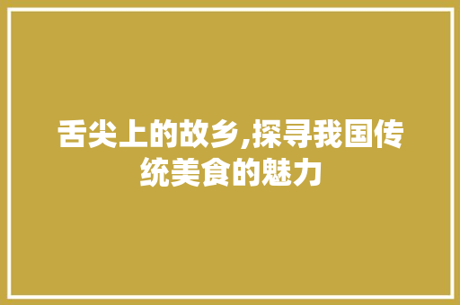 舌尖上的故乡,探寻我国传统美食的魅力 报告范文