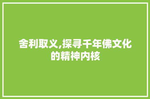 舍利取义,探寻千年佛文化的精神内核