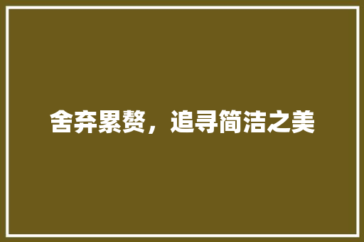 舍弃累赘，追寻简洁之美