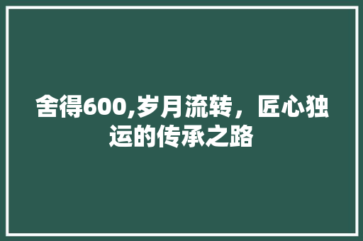 舍得600,岁月流转，匠心独运的传承之路