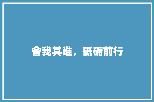 舍我其谁，砥砺前行