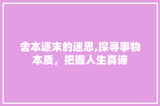 舍本逐末的迷思,探寻事物本质，把握人生真谛