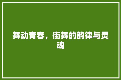 舞动青春，街舞的韵律与灵魂