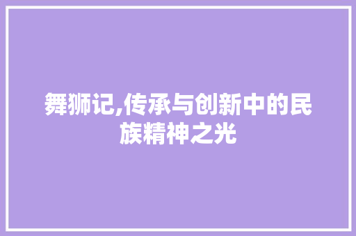 舞狮记,传承与创新中的民族精神之光