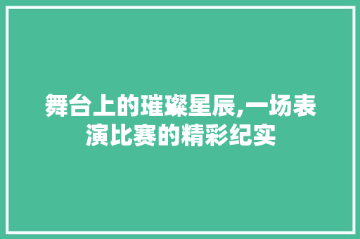 舞台上的璀璨星辰,一场表演比赛的精彩纪实