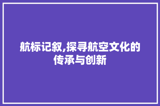 航标记叙,探寻航空文化的传承与创新