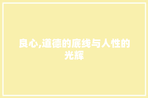 良心,道德的底线与人性的光辉