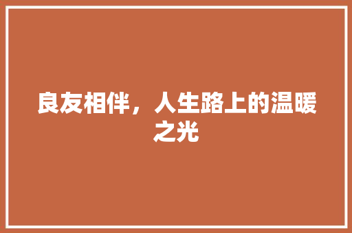 良友相伴，人生路上的温暖之光